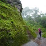 ภูหินร่องกล้า