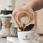 Pacamara