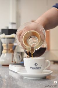 Pacamara