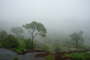 ภูหินร่องกล้า ในช่วงฤดูฝน