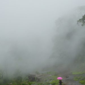 ภูหินร่องกล้า ในช่วงฤดูฝน