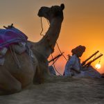 rajasthan-3132408_1920