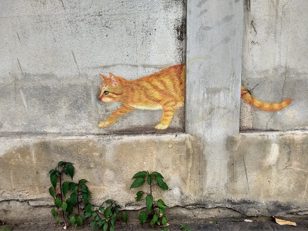 แมวข้างกำแพง สตรีทอาร์ตลำปาง