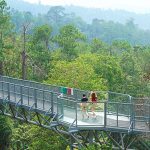 สวนพฤกษศาสตร์