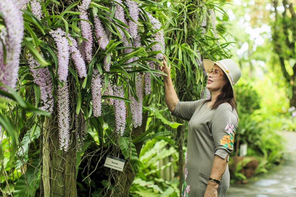 The Blooms