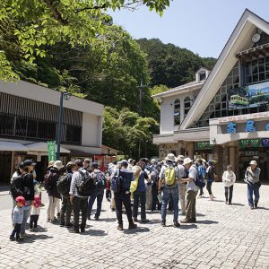 Mt. Takao