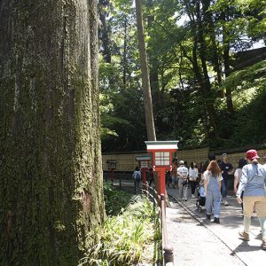 Mt. Takao