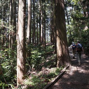 Mt. Takao