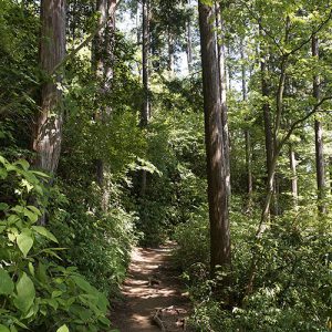 Mt. Takao