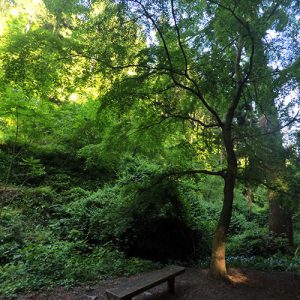 Mt. Takao