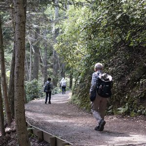 อาบป่า สัมผัสธรรมชาติ ที่ Mt. Takao