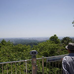 Mt. Takao