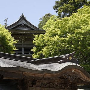 Mt. Takao