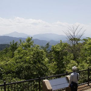 Mt. Takao
