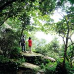 เขาใหญ่