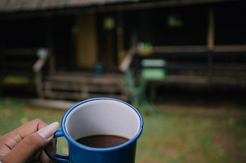เที่ยวภูเขียว-กาแฟ-1 เที่ยวภูเขียว-กาแฟ-1