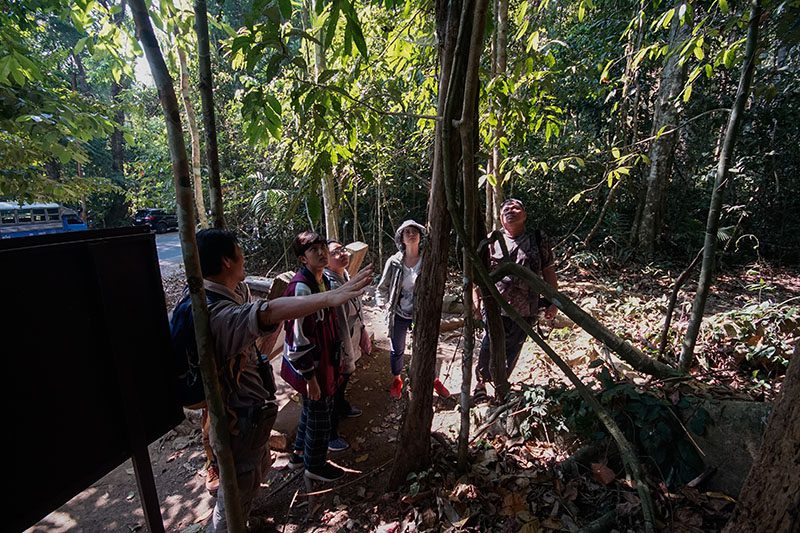 Khao Yai Nature trail-2